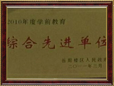 2010年度综合先进单位